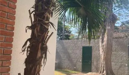 Casa para Locação  Jardim Europa