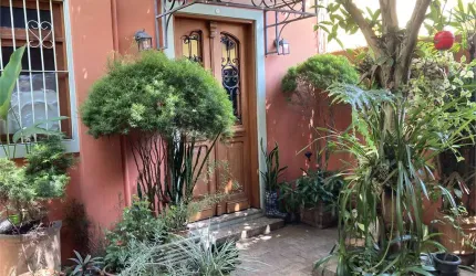 excelente oportunidade