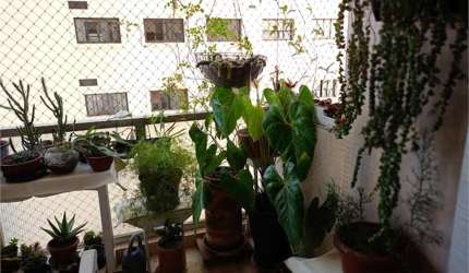 Apto 3 dormitórios  - JARDIM PAULISTA