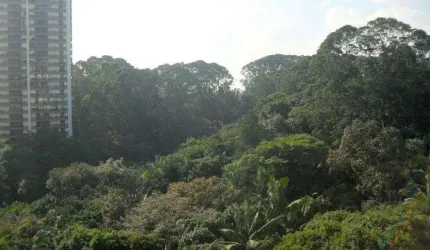 Apartamento a venda no Cond. Chác. Santa Helena