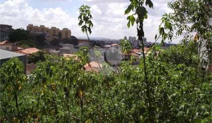 Terreno 269 m2 para Alugar ou Vender - Morumbi
