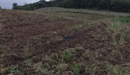 Chácara em Bateias, Campo Largo/PR