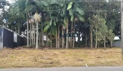 Terreno à venda no bairro Cidade Industrial - Curitiba/PR