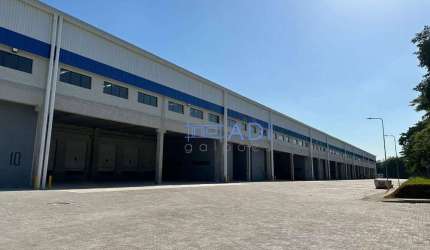 Galpão Logístico Industrial Locação -  35.976 m² - Rod. Castello Branco - Barueri - SP