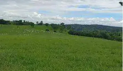 FAZENDA (126 Alqueires). FAZENDA COM COMPLETA BENFEITORIA E INFRAESTRUTURA
