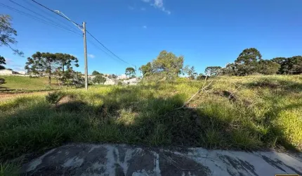 Terreno para Venda em Guarapuava, Boqueirão