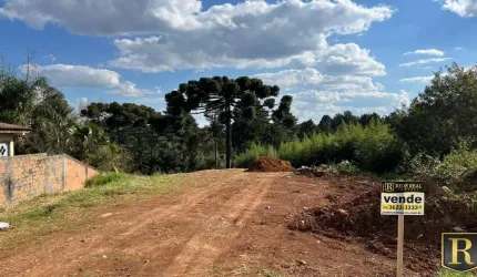 Terreno para Venda em Guarapuava, Santana