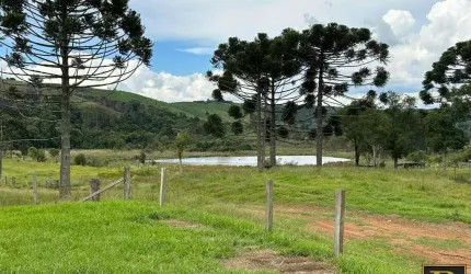 Fazenda para Venda em Guarapuava, Colônia Vitória - Distrito de Entre Rios