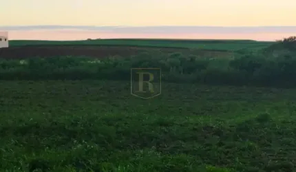 Chácara para Venda em Guarapuava, Colônia Cachoeira