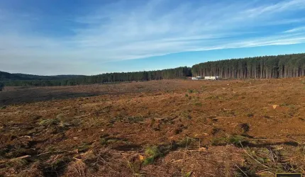 Fazenda para Venda em Guarapuava, Guara