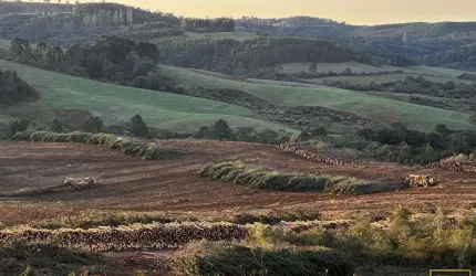 Chácara para Venda em Guarapuava, Guara