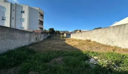 Terreno para Venda em Guarapuava, Santa Cruz