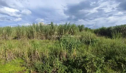 TERRENO - RESIDENCIAL RIVIERA