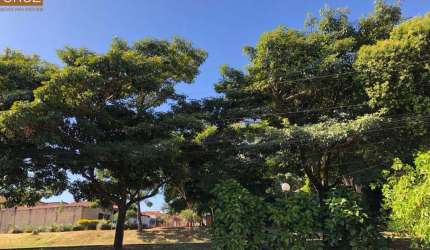 Terreno plano bem localizado no bairro Mário Dedini
