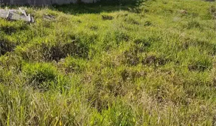 Terreno à venda em Bosque - SP