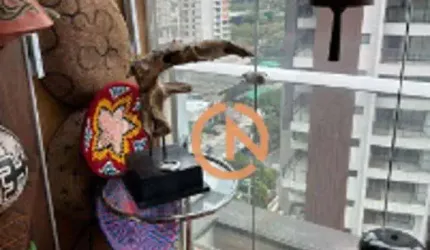 Apartamento Residencial à venda, Moema, São Paulo - AP4650.