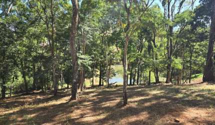 Viva no paraíso: Lote de 4.253m² no Aldeia do Vale, Goiânia!
