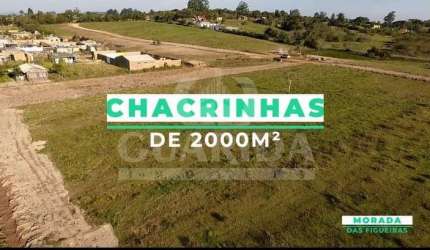 Chácara / sítio com 1 quarto à venda na Estrada Jacques da Rosa, 1750, Lageado, Porto Alegre por R$ 350.000