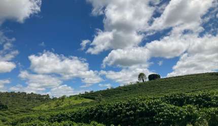 Excelente Fazenda Cristais de Minas