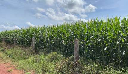 Excelente fazenda na região de Araguaína