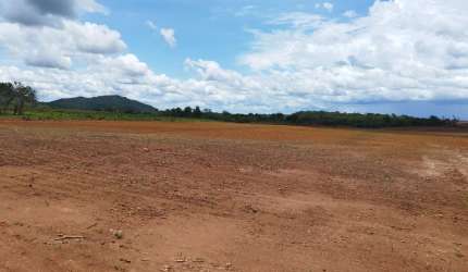 Fazenda em Brejinho de Nazaré á 23 km da 153 (Rodovia Belém/Brasilia)