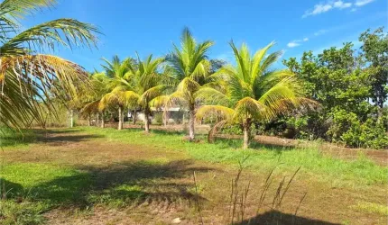 Chácara com 4 quartos à venda em Área Rural De Cuiabá - MT