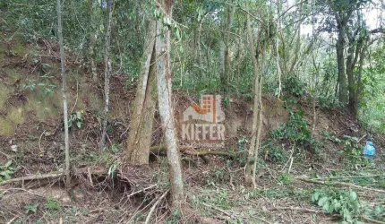 Terreno à venda, 750 m² por R$ 196.000,00 - Serra Grande - Niterói/RJ