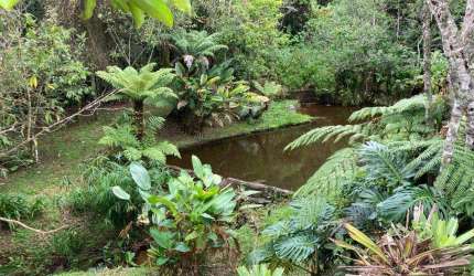 Sítio para Venda em Nova Friburgo, São Lourenço, 3 dormitórios, 1 banheiro