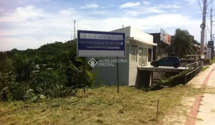 Terreno comercial à venda na Rodovia Armando Calil Bulos, 800, Vargem Grande, Florianópolis, 360 m2 por R$ 449.000