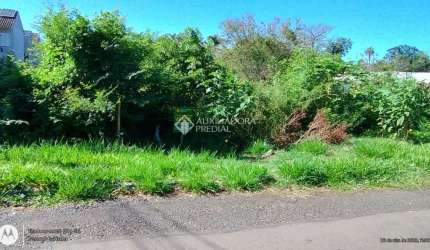 Terreno comercial à venda na Rua Aparício Soares da Cunha, 468, Vila Bom Princípio, Cachoeirinha, 900 m2 por R$ 485.000