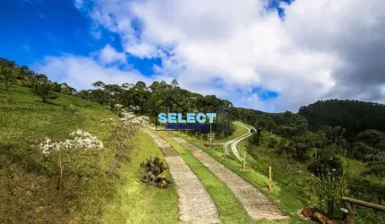 Sítio a venda em São Francisco Xavier, S.J.dos Campos