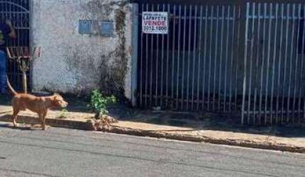Casa com 2 dormitórios à venda por R$ 110.000,00 - Jardim das Oliveiras - São José do Rio Preto/SP