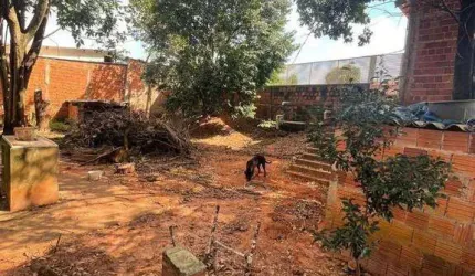 Chácara com 4 dormitórios para alugar, 1000 m² por R$ 3.850,00/mês - Pica-pau-amarelo (Zona Rural) - São José do Rio Preto/SP
