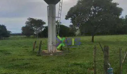 Sítio à venda, 5 m² por R$ 1.300.000 - Zona Rural - Neves Paulista/SP