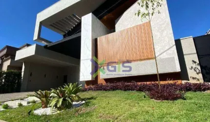 DAMHA VI -São José do Rio Preto