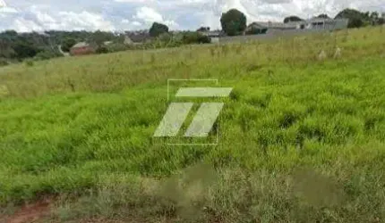 Loteamento, Cataratas - Cascavel