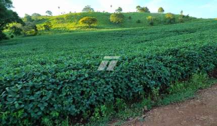Fazenda - Três Barras do Paraná