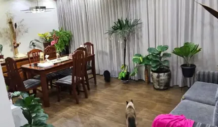 Apartamento à Venda no Condomínio Alegria