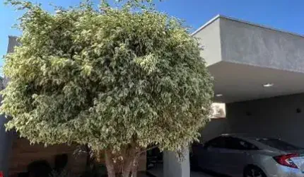 Casa de quatro quartos com suíte e closet, a venda, no condomínio San Marino em Birigui