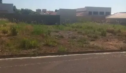 Terreno à venda em Birigüi-SP, Parque das Árvores - 250m² de área!
