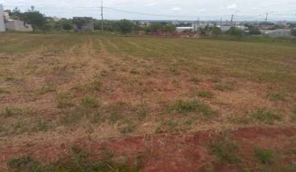 Terreno à venda em Birigui-SP, Parque das Árvores II - 250,00m² de área. Aproveite esta oportunidade única!