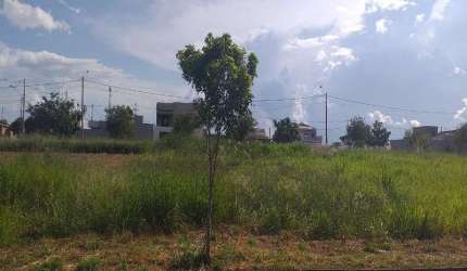 Terreno à venda em Birigüi-SP, bairro Parque das Árvores II, 250m² de área!