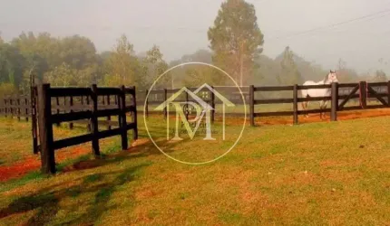 Haras com 1 dormitório à venda, 1113200 m² por R$ 16.000.000,00 - Vila Belo Horizonte - Itapetining