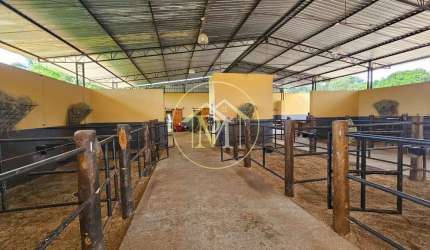 Haras com 4 dormitórios à venda, 99219 m² por R$ 3.500.000 - Área Rural de Boituva - Boituva/SP