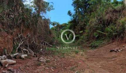 Terreno à venda, 383 m² por R$ 100.000,00 - Centro - Nova Friburgo/RJ