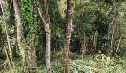 Terreno à venda no Parque Imperial