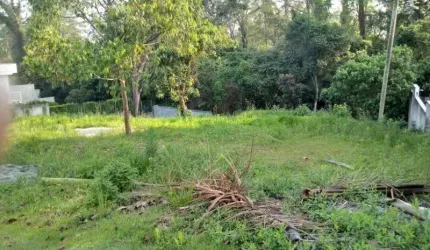 TERRENO RESIDENCIAL À VENDA, GRANJA VIANA, COTIA.