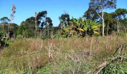 TERRENO RESIDENCIAL À VENDA, VILA VERDE, IBIÚNA - TE0023.