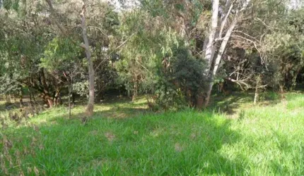 TERRENO RESIDENCIAL À VENDA, GRANJA VIANA, COTIA - TE0009.