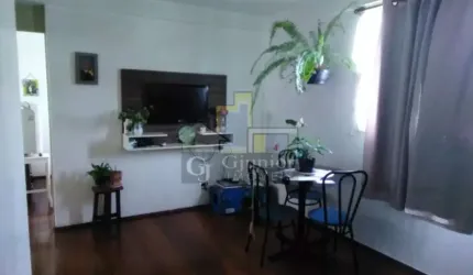 Apartamento com 2 Dormitórios + Garagem, Parque Residencial Vila União, Campinas (SP) - AP1316